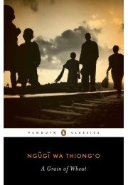 Ngugi Wa Thiong'o