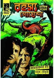 RAHASYA GOYENDA GRAPHIC NOVEL (MAYUKH)