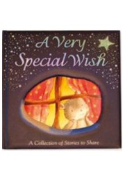 A Very Special Wish