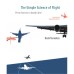 THE SIMPLE SCIENCE OF FLIGHT