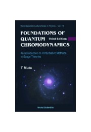 Foundations of Quantum Chromodynamics