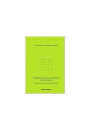 Principles of Quantum Computation and Information Vol II