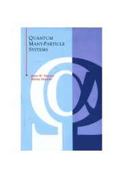 Quantum Many Particle Systems