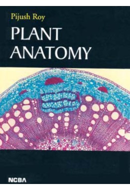 PLANT ANATOMY