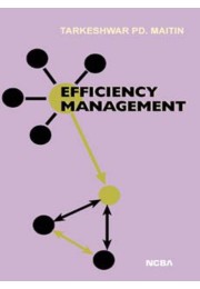 EFFICIENCY MANAGEMENT