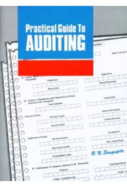 PRACTICAL GUIDE TO AUDITING