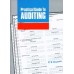 PRACTICAL GUIDE TO AUDITING