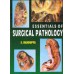 ESSENTIAL OF SURGICAL PATHOLOGY