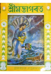 Srimad Bhagawat Gita (big)