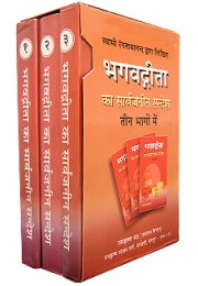 			Bhagavad Gita ka Sarvajaneen Sandesh: In 3 volumes