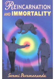 Reincarnation and Immortality