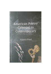 american poetry colonial to contemporary