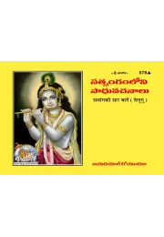 Valmikiya Ramayan Part-II (Telugu)