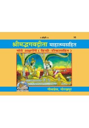 Gita  (Hindi)