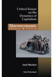 Macroeconomic Theory And Policy