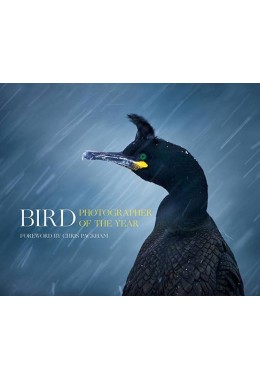 Bird Photographer Of The Year