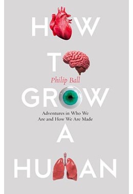 How To Grow A Human