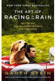 The Art Of Racing In The Rain