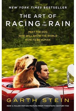 The Art Of Racing In The Rain