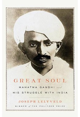 Great Soul - Mahatama Gandhi and His Struggle With India