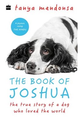 The Book Of Joshua