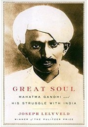 Great Soul - Mahatma Gandhi and His Struggle With India