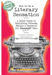 How to Be a Literary Sensation