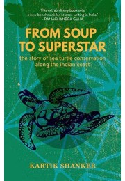 From Soup to Superstar