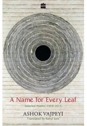 A Name for Every Leaf