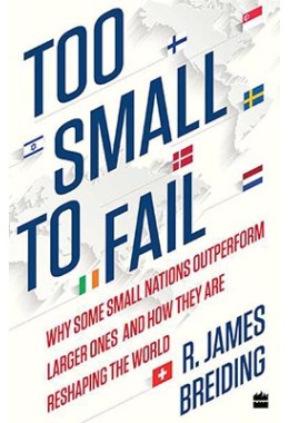 Too Small to Fail