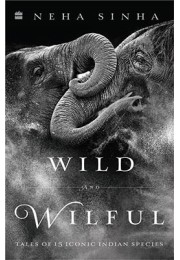 Wild And Wilful