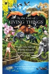 At the Feet of Living Things