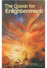 THE QUEST FOR ENLIGHTMENT