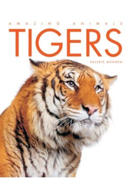 Tigers