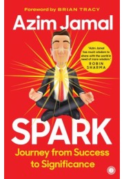 Spark: Journey From Success To Significance