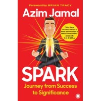Spark: Journey From Success To Significance