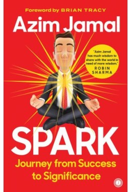 Spark: Journey From Success To Significance