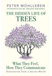 The Hidden Life of Trees