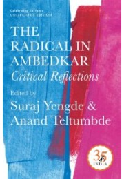 Penguin 35 Collectors Edition: The Radical in Ambedkar