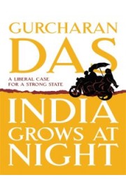 India Grows At Night