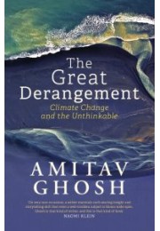 The Great Derangement: From bestselling author and winner of the 2018 Jnanpith Award