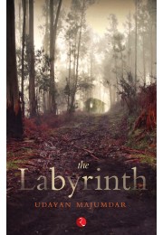 THE LABYRINTH