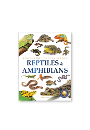 Animals - Reptiles and Amphibians : Knowledge Encyclopedia For Children