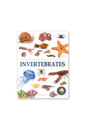 Animals - Invertebrates : Knowledge Encyclopedia For Children