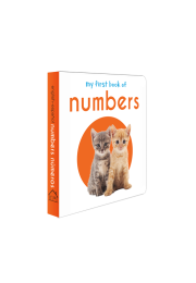 My First Book of Numbers: First Board Book