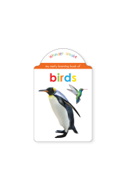 My Early Learning Book of Bird: Attractive Shape Board Books For Kids