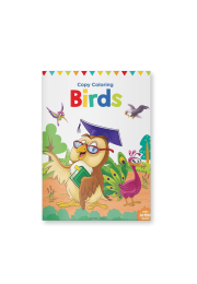 Little Artist Series Birds: Copy Colour Books