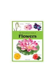 My first picture book of Flowers: Picture Books for Children