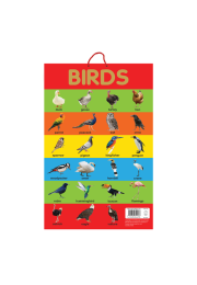 Birds - Early Learning Educational Posters For Children: Perfect For Kindergarten, Nursery and Homeschooling (19 Inches X 29 Inches)