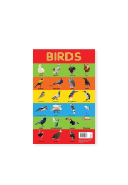 Birds Chart - Early Learning Educational Chart For Kids: Perfect For Homeschooling, Kindergarten and Nursery Students (11.5 Inches X 17.5 Inches)